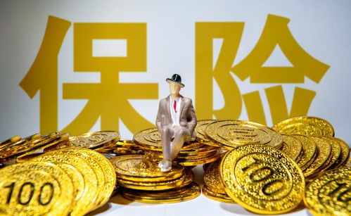 保险可以退保吗